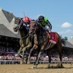 Thorpedo Anna, Hope Road, Book'em Danno Win at Saratoga, Earn Breeders' Cup Spots